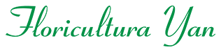 Floricultura Yan
